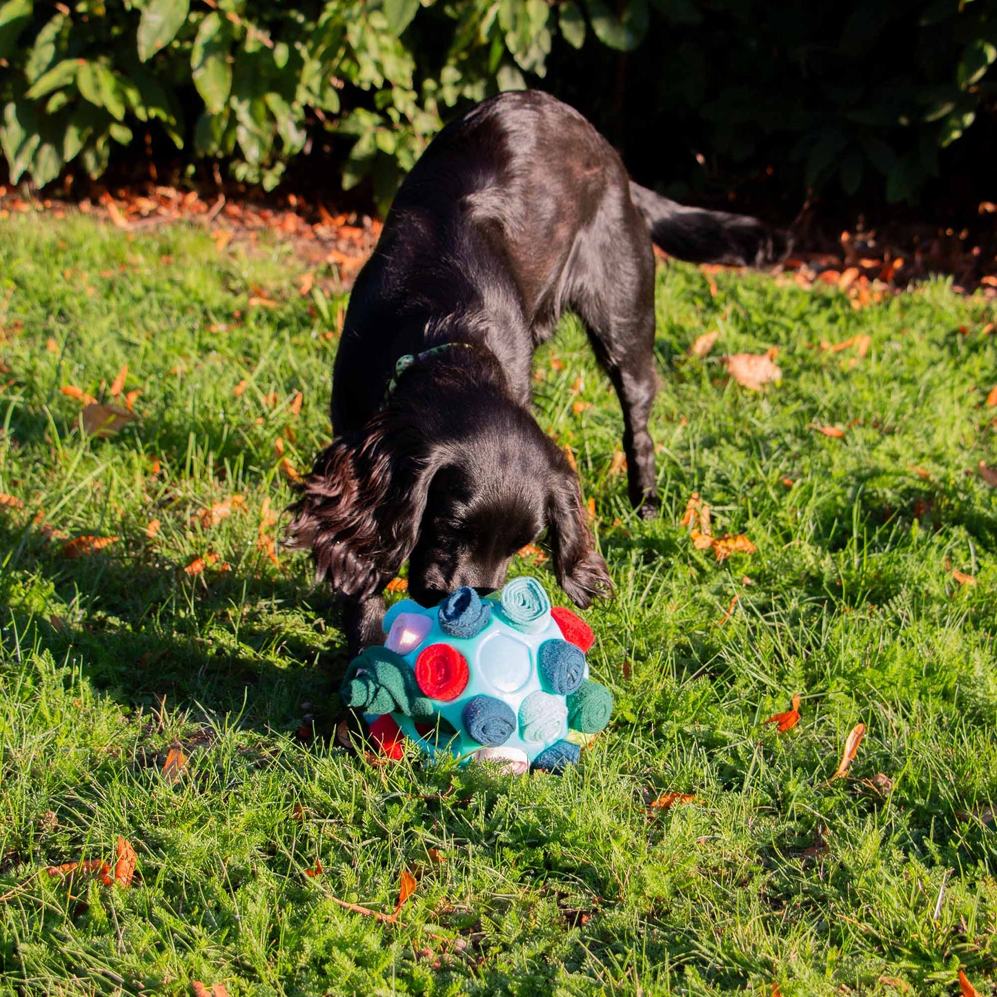 Snuffle Ball- fill with treats and roll