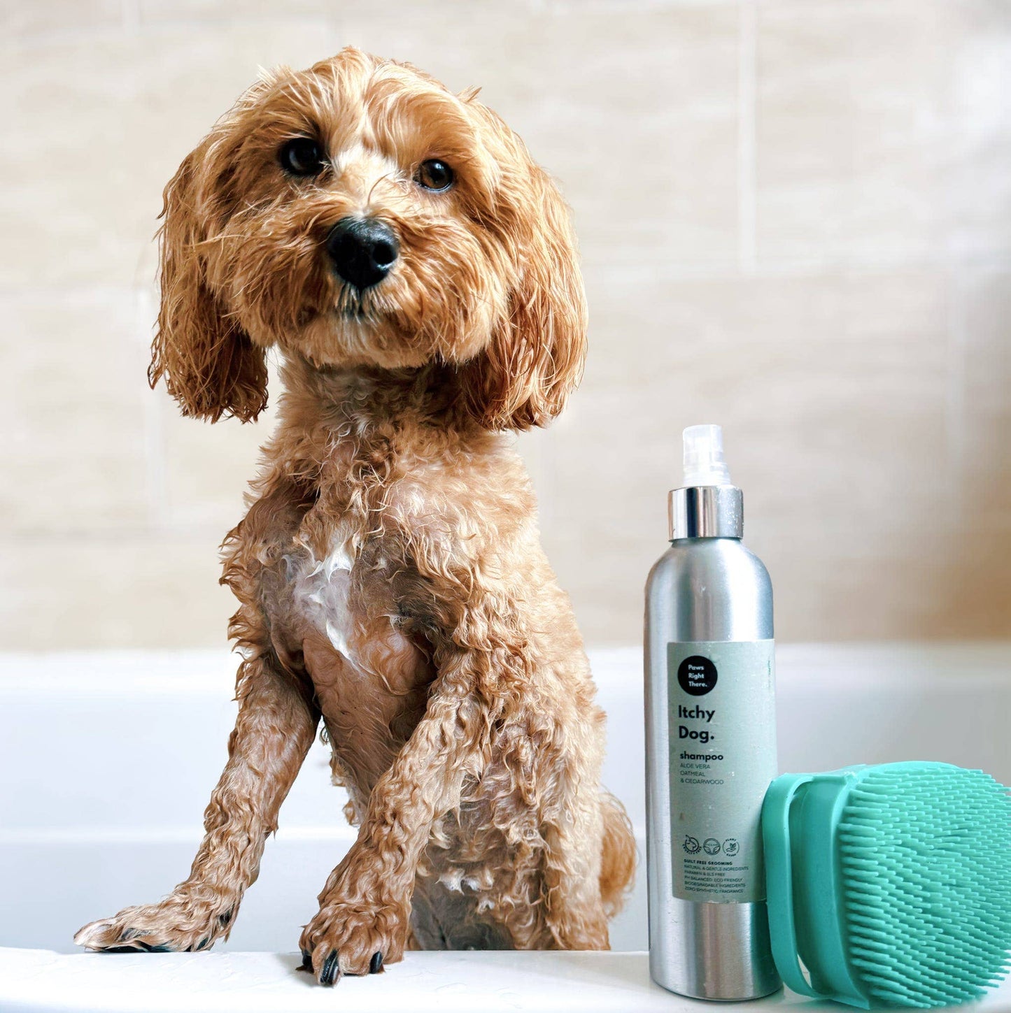 Shampoo brush