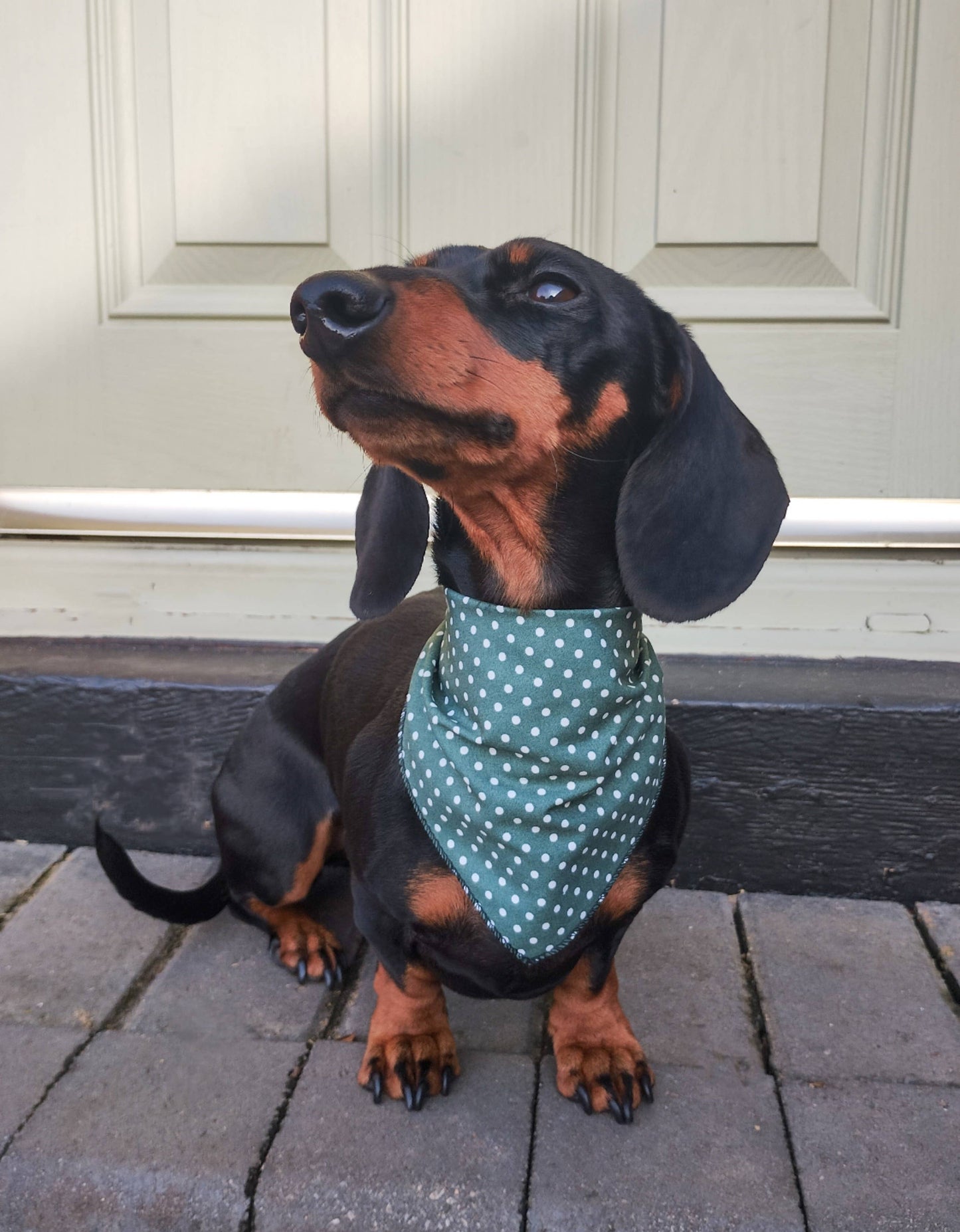 Pet Pooch Boutique - Antique Green Polka Dot Dog Bandana (classic) - Handmade