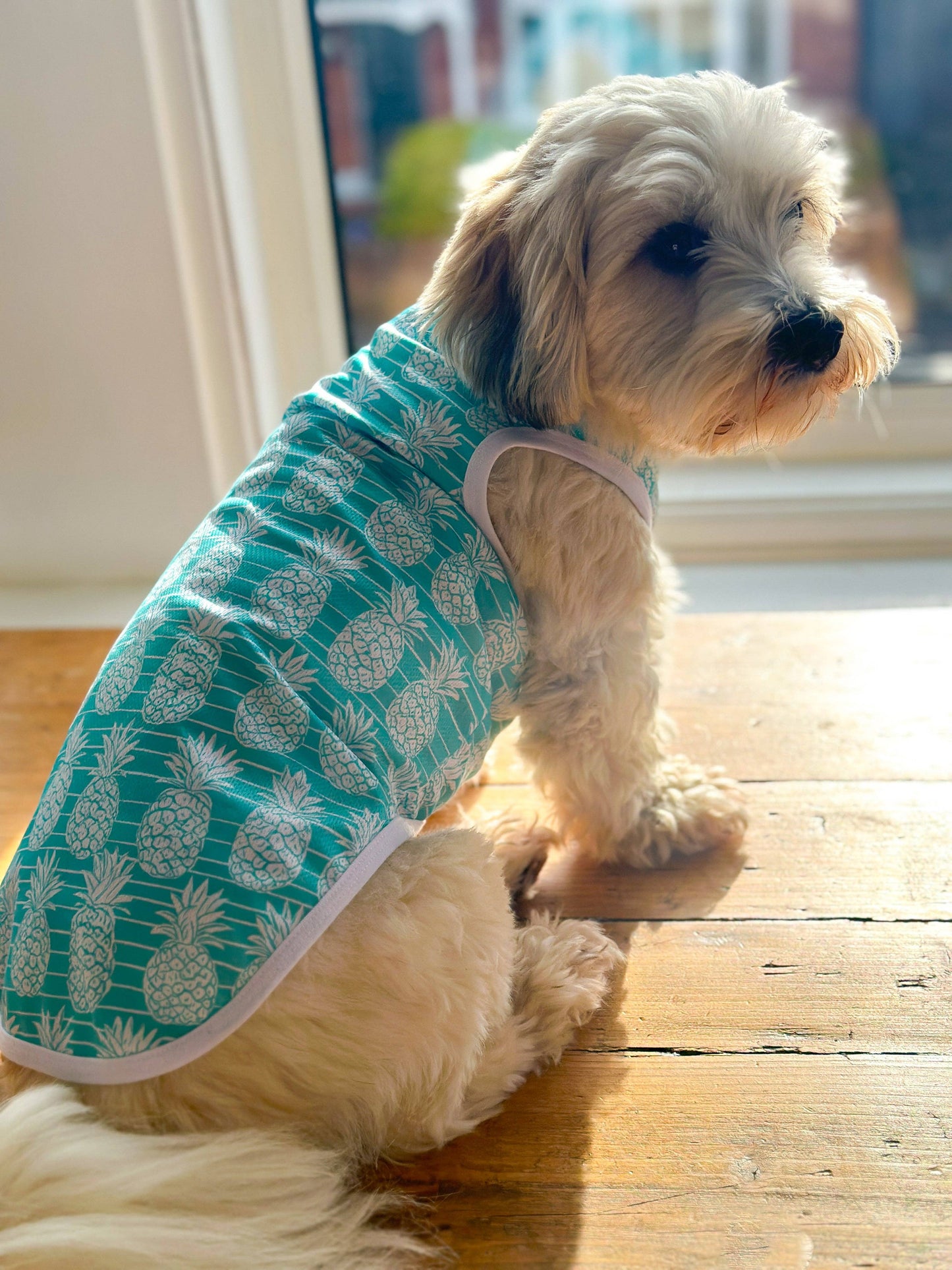 The Paw Print Boutique - The Pineapple Pawty Cooling Vest