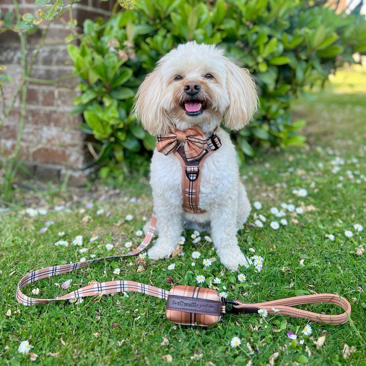 The aDoraBle Pooch Company - Heritage Dog Lead - Butterscotch Biscuit