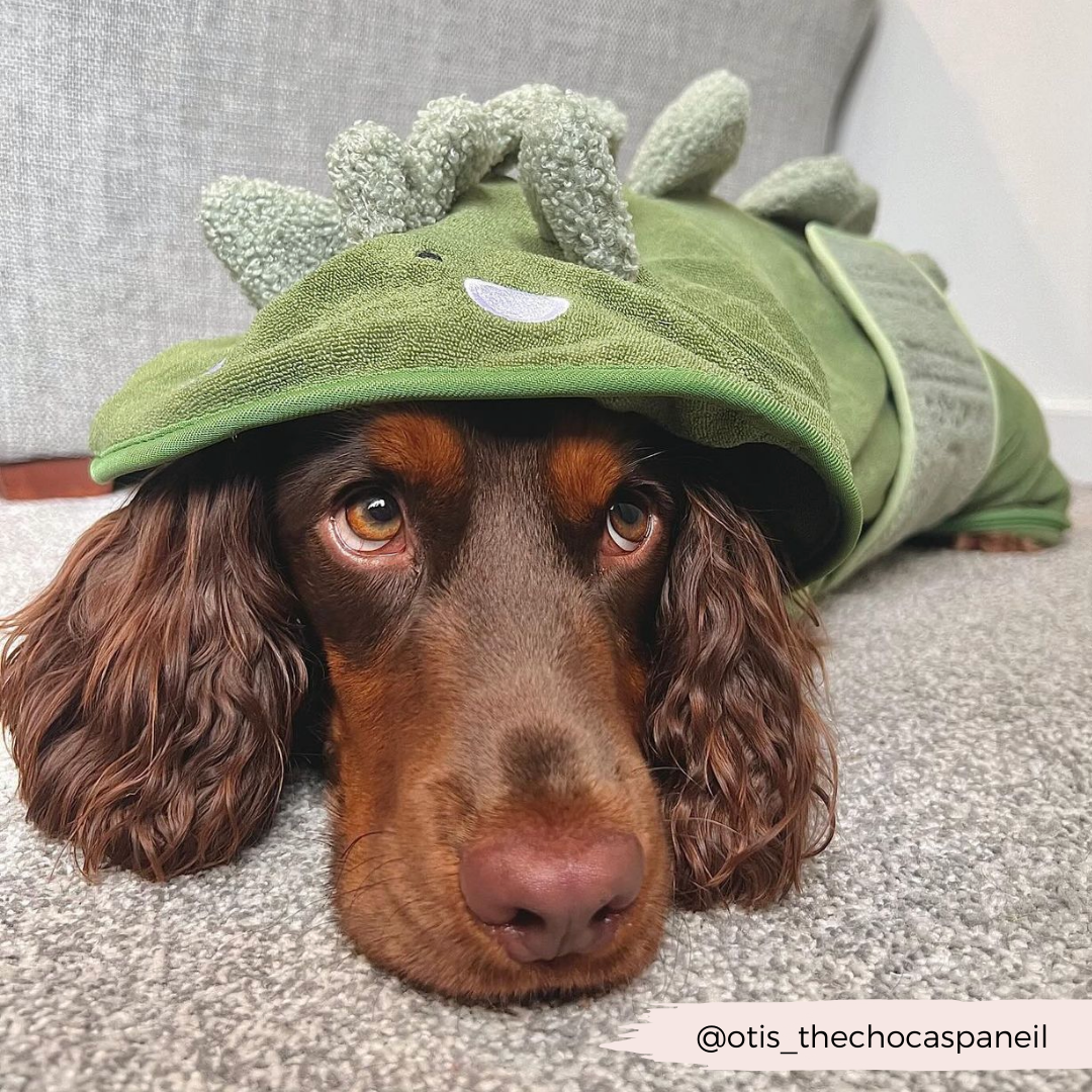 Cocopup London - Dinopup Drying Robe