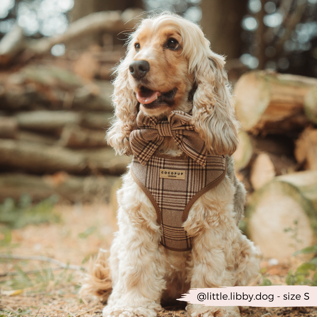 Cocopup London - Pup Plaid Adjustable Neck Harness