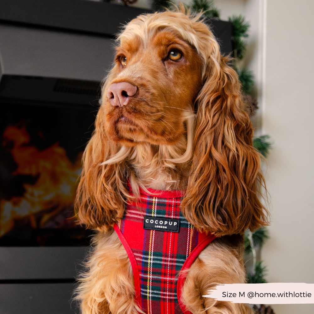 Cocopup London - Tartan Adjustable Neck HARNESS