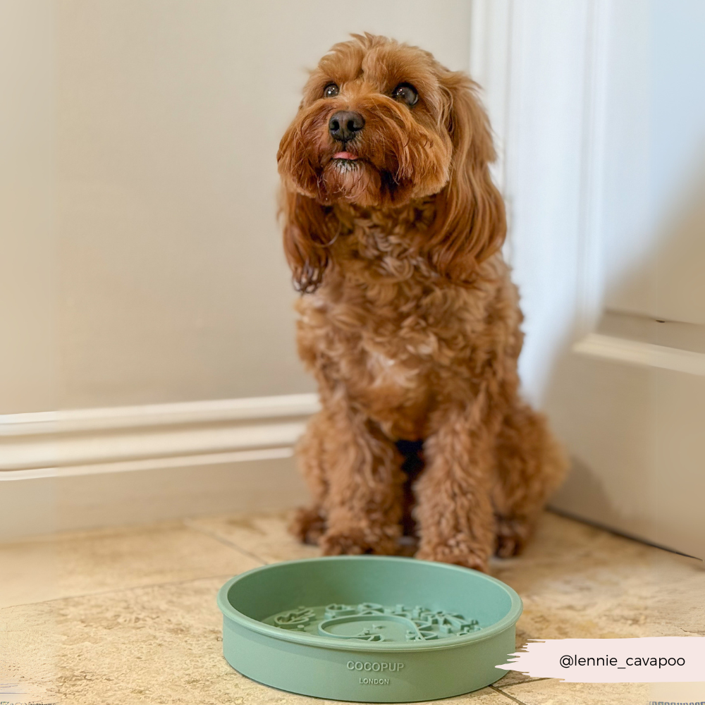 Cocopup London - Silicone Slow Feed Dog Bowl - Dinopaws