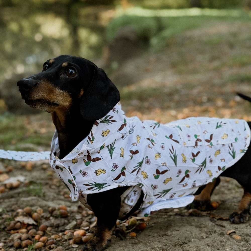 Cocopup London - Dog Raincoat - Puddle Pup