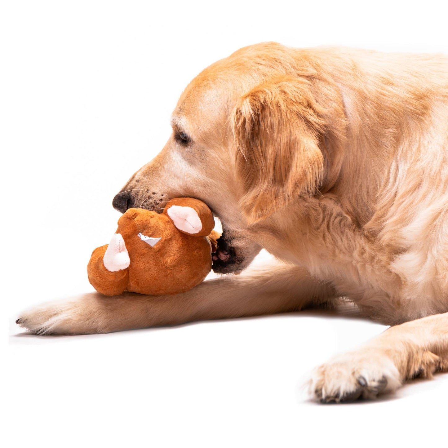 Midlee Designs - Midlee Roasted Thanksgiving Turkey Plush Dog Toy