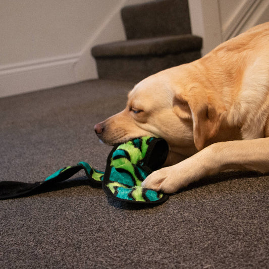 Ancol Pet Products Ltd - Ancol Playtime For Dogs  Tough Squeaky Snake