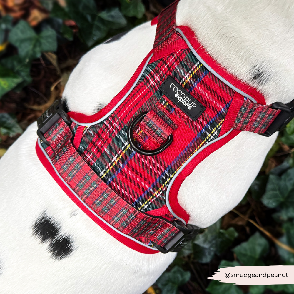 Cocopup London - Explore Harness - Tartan