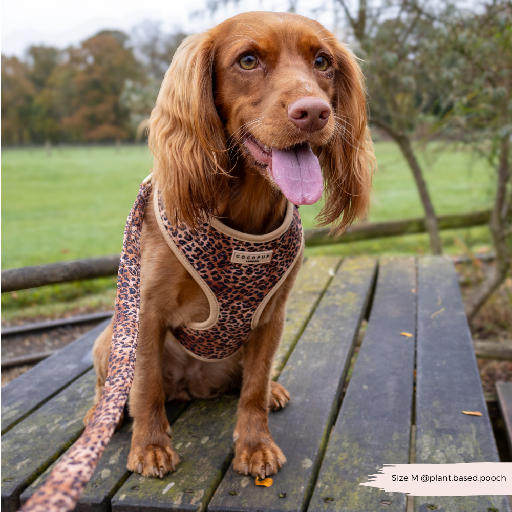 Cocopup London - Quilted Leopard Pup Lead