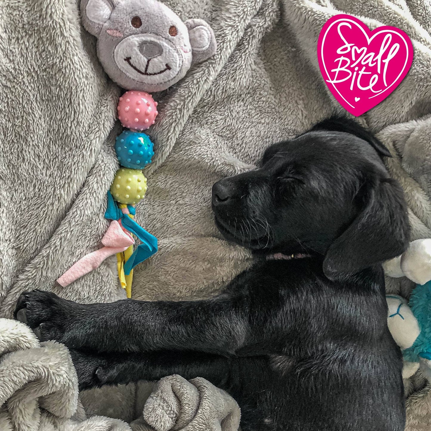 Ancol Pet Products Ltd - Small Bite Puppy Teether Bear/Bunny/Heart