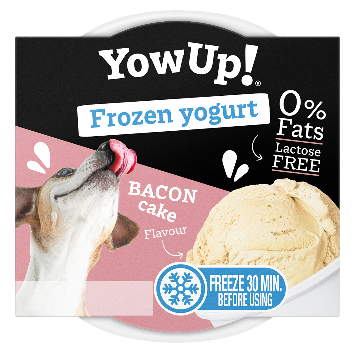 Hofman Animal Care - YowUp! Frozen Yogurt Bacon Cake