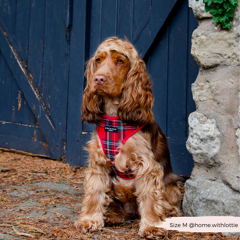 Cocopup London - Tartan Adjustable Neck HARNESS