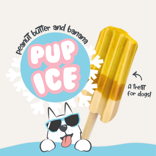 The Canine Menu - Pup Ice Lollies