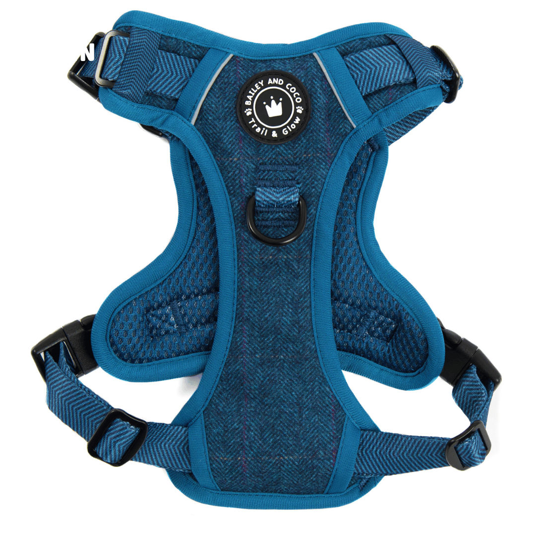 Bailey and Coco - Trail & Glow Tweed Dog Harness - Sapphire Tweed