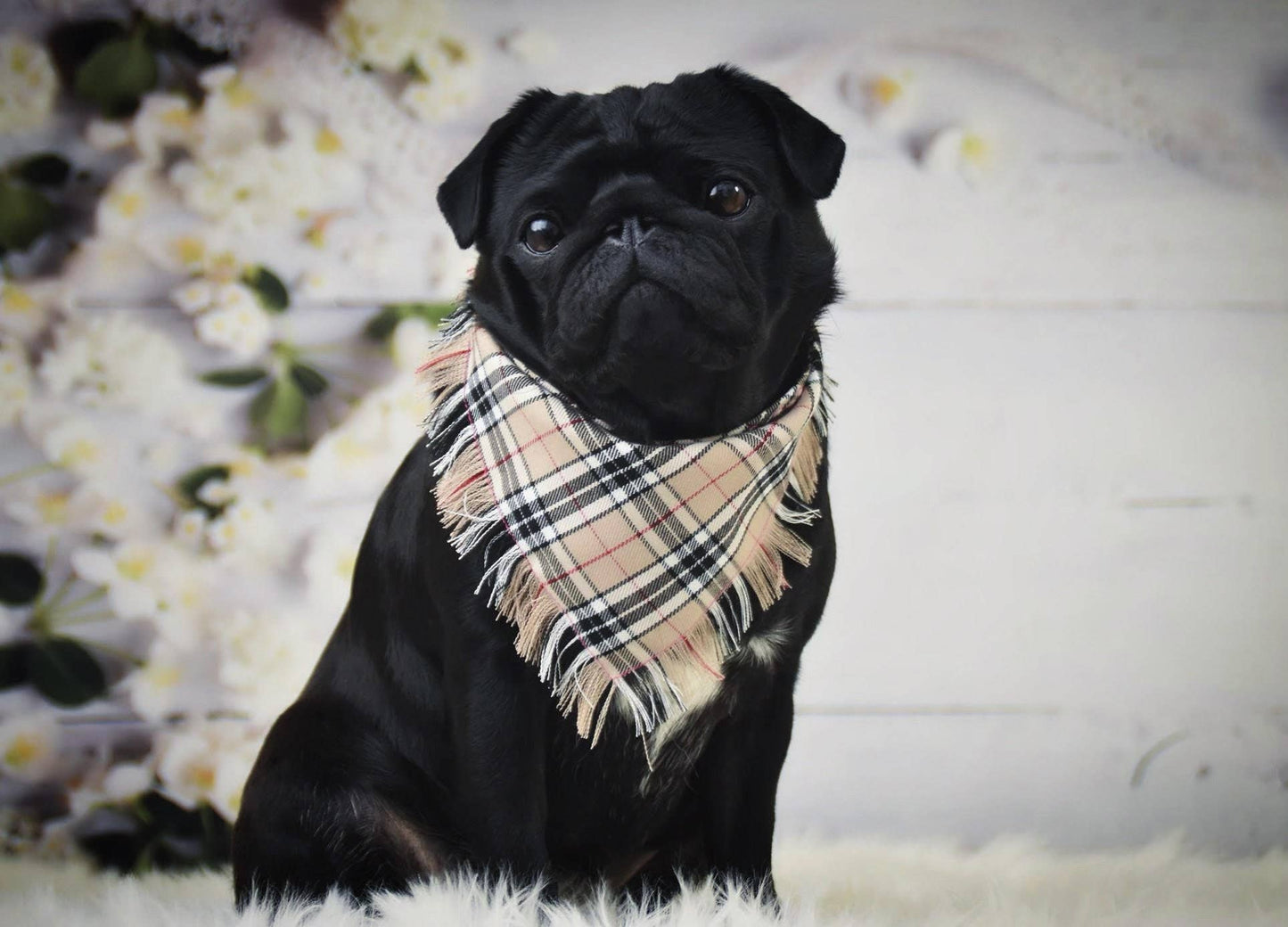 Pet Pooch Boutique - Frayed Barkberry Plaid Check Dog Bandana - Handmade