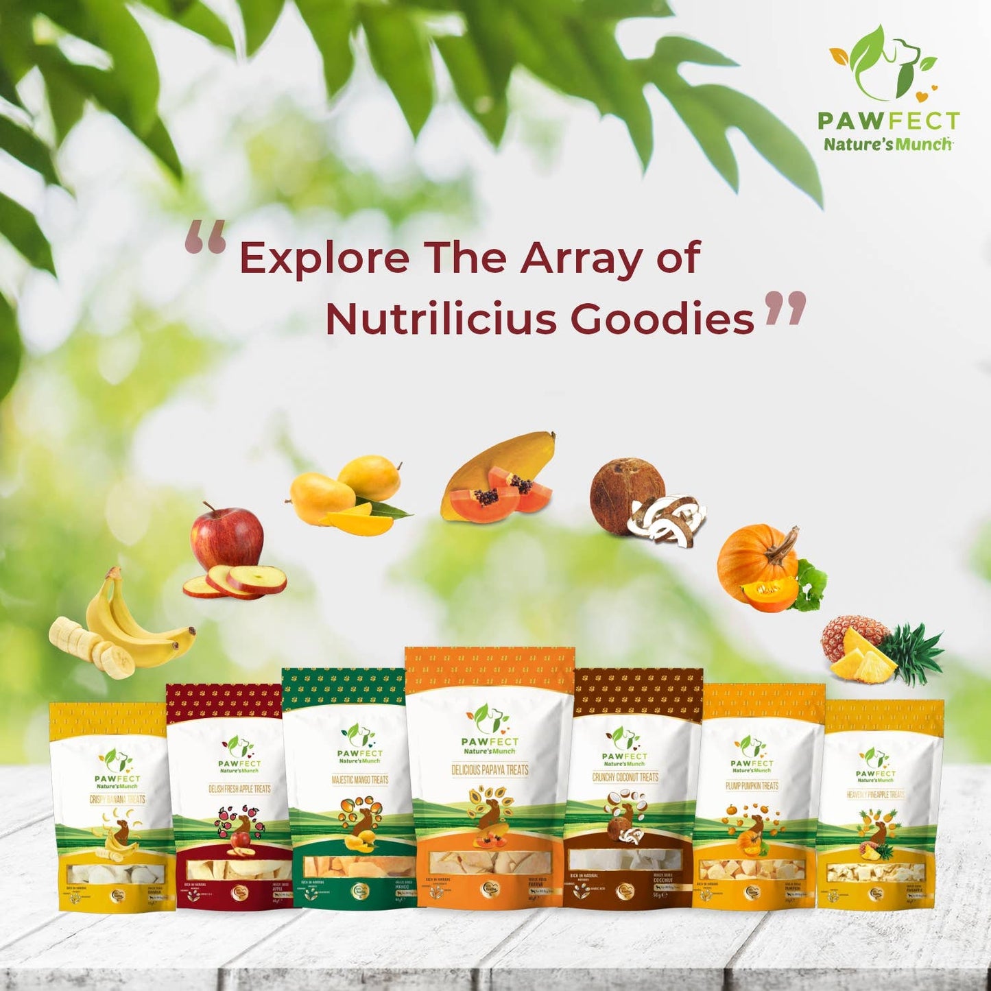 Pawfect Foods -Mango Treats for Dogs