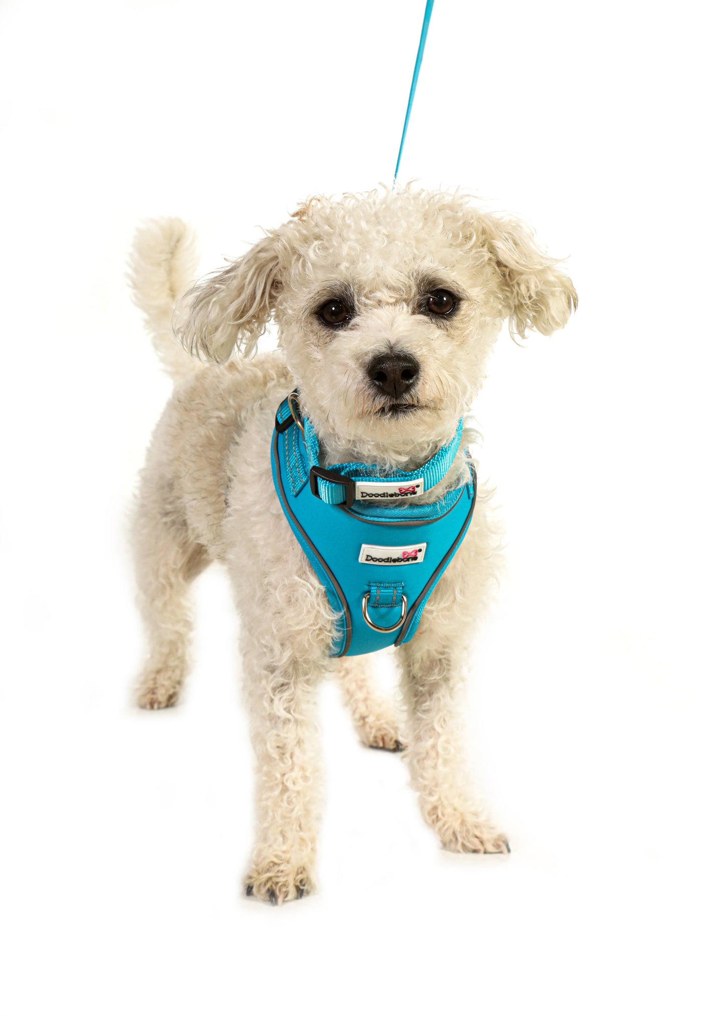 Doodlebone - Adjustable Airmesh Dog Harness