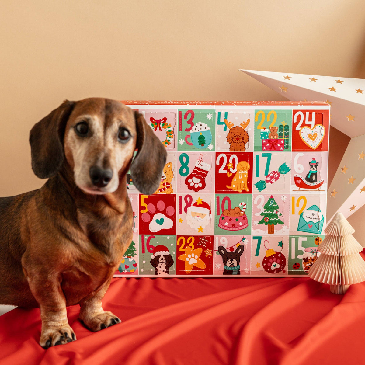 Fluff & Crumble - Christmas Advent Calendar for Dogs