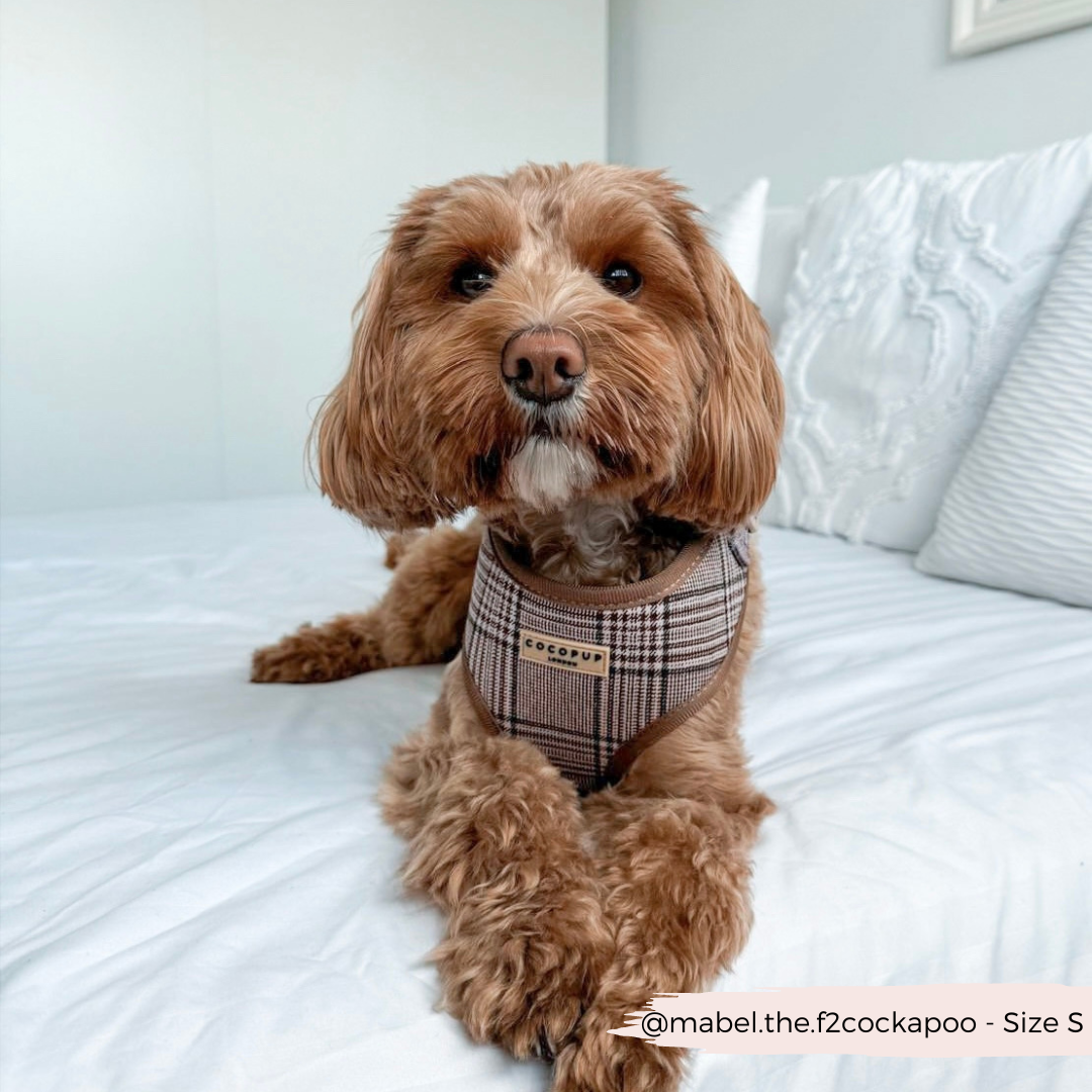 Cocopup London - Pup Plaid Adjustable Neck Harness