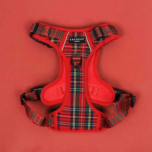 Cocopup London - Explore Harness - Tartan