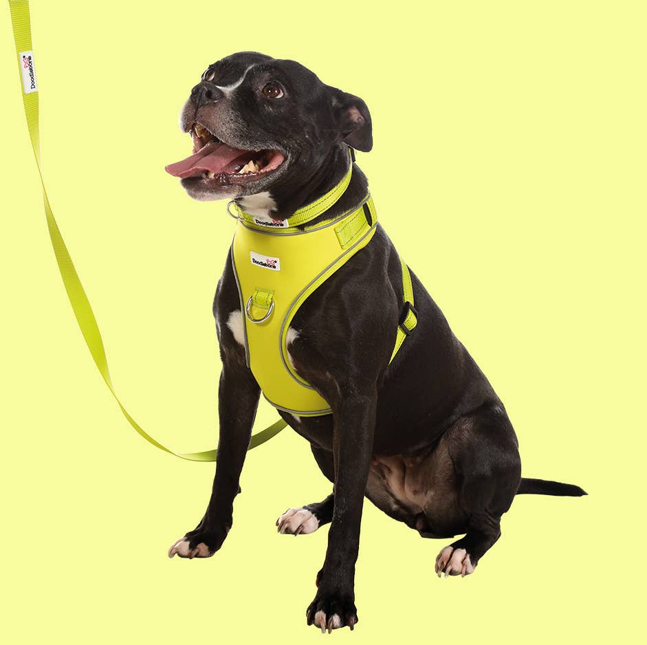 Doodlebone - Adjustable Airmesh Dog Harness