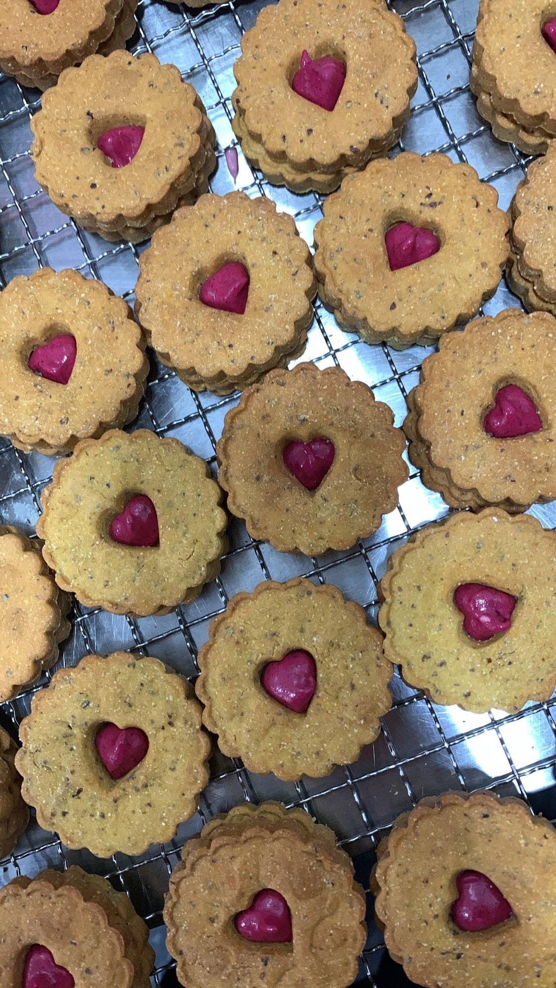 Canine Creations Cheshire - Classic Biscuit Collection