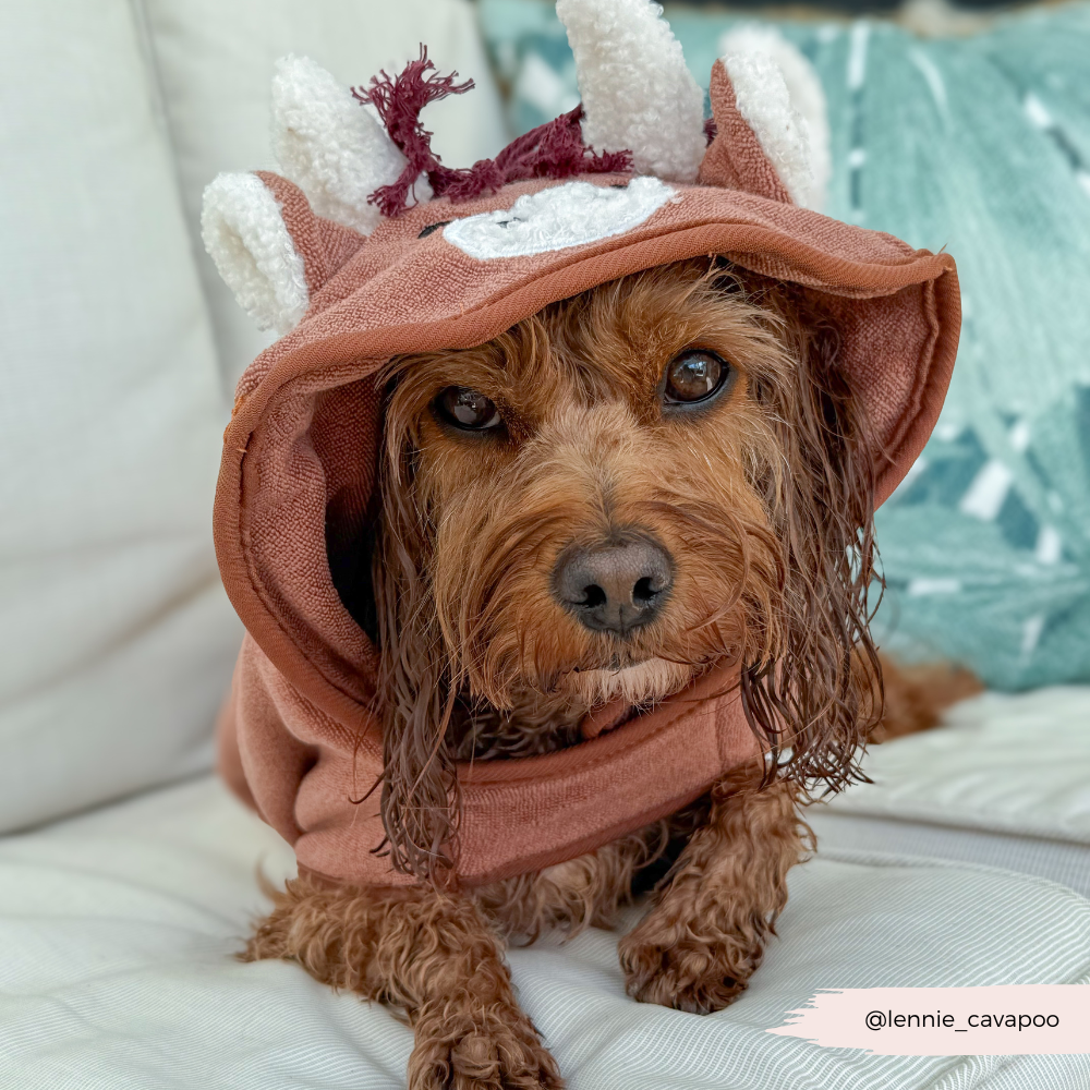 Cocopup London - Harold the Highland Cow Drying Robe