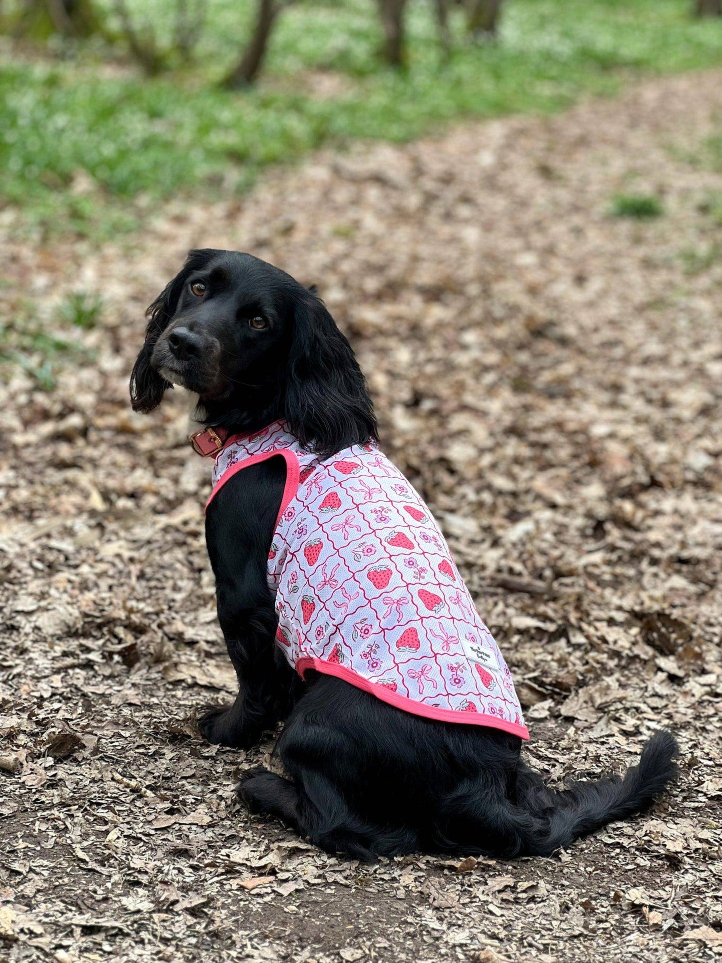 The Paw Print Boutique - The Bows & Berries Cooling Vest
