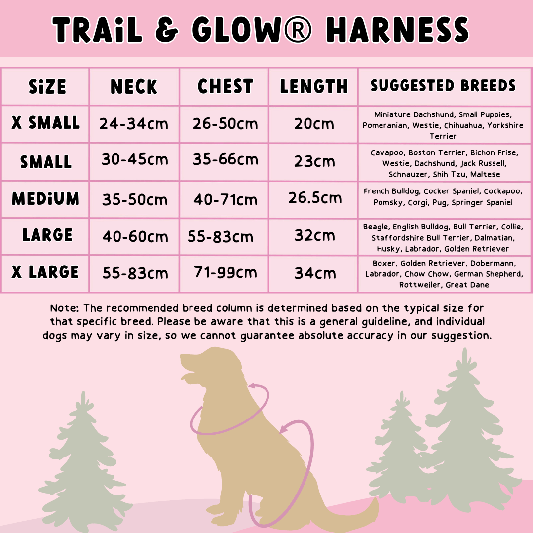 Bailey and Coco - Trail & Glow Tweed Dog Harness - Sapphire Tweed
