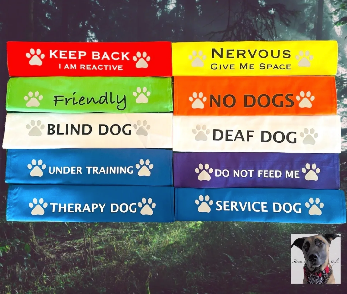 Storms Style - Lead Slips - Reactive, Nervous, Blind, Deaf, Friendly