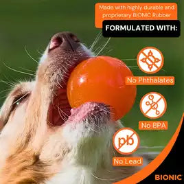 Bionic - Ball