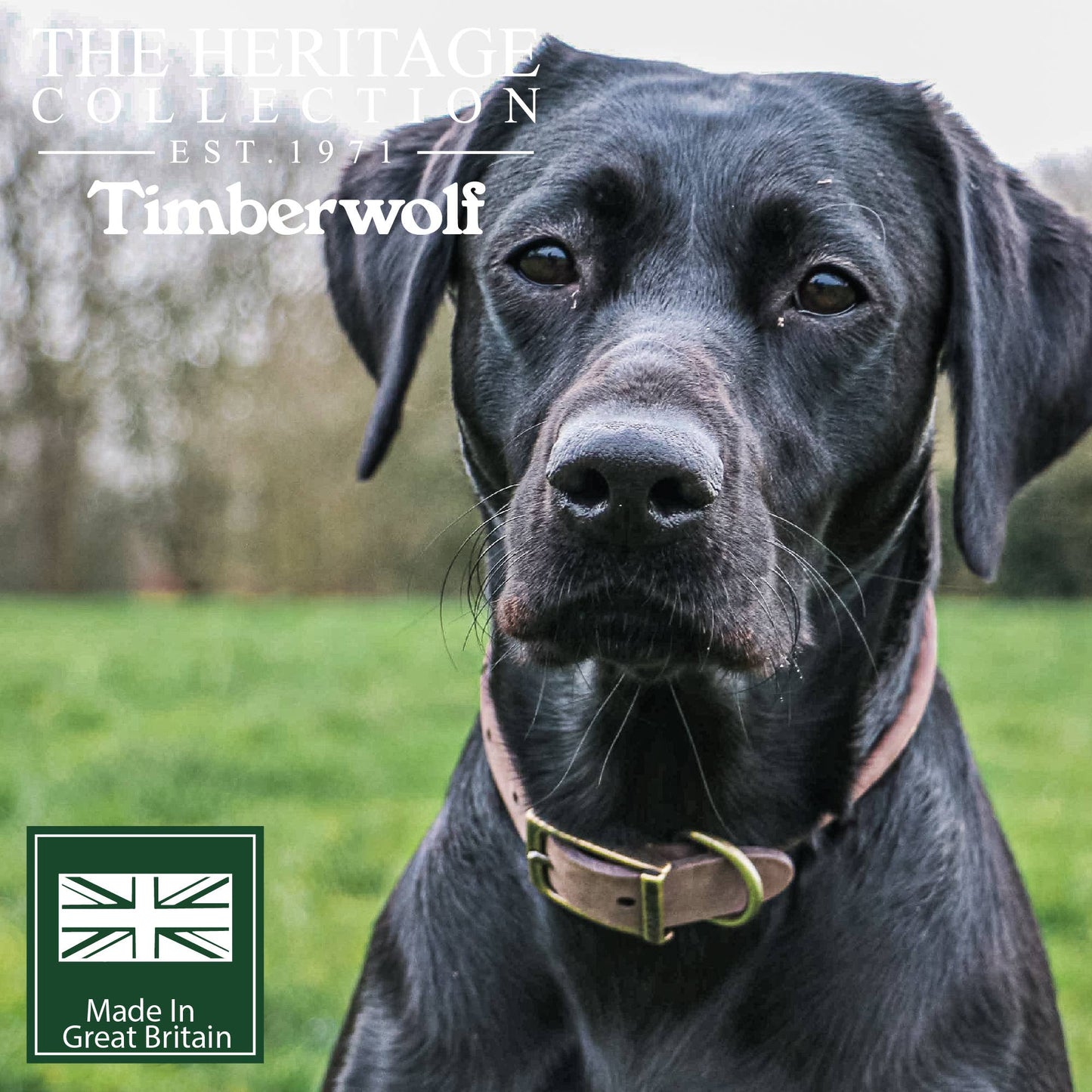 Ancol Pet Products Ltd - Timberwolf Round Collar