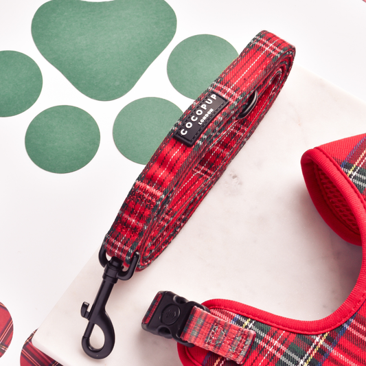 Cocopup London - Tartan Lead