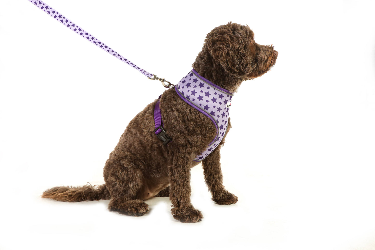 Doodlebone - Airmesh Dog Harness