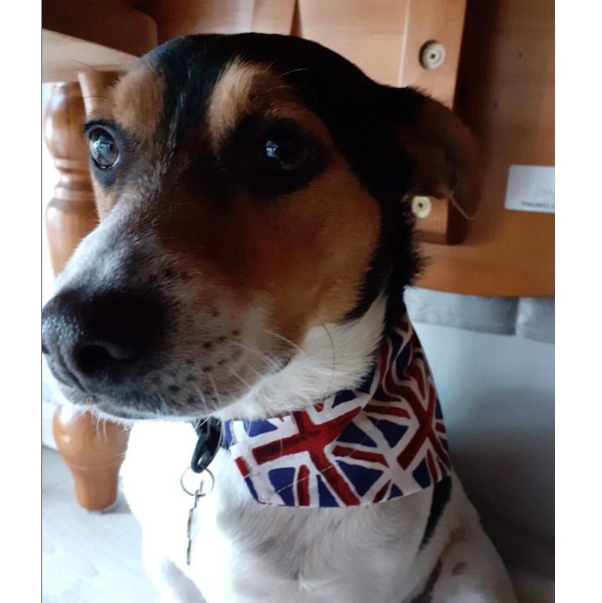 Storms Style - Union Flag Bandanas