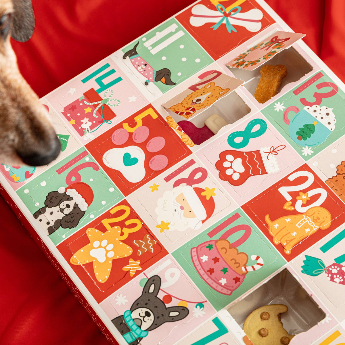 Fluff & Crumble - Christmas Advent Calendar for Dogs