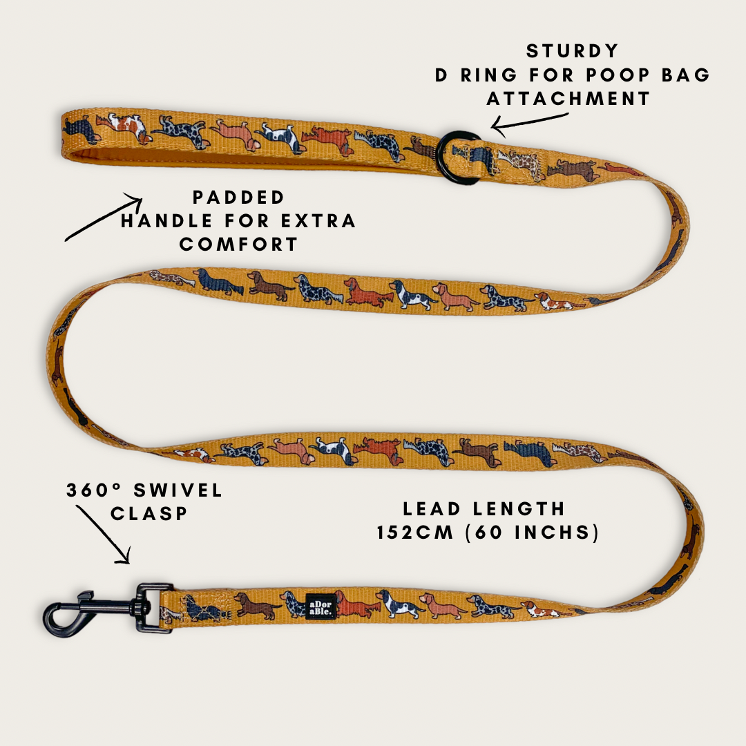 The aDoraBle Pooch Company - Dog Lead - Dashing Dachshunds