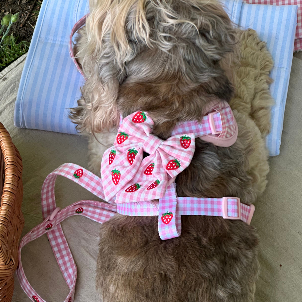 Cocopup London - Strawberry Picnic Pup Sailor Bow Tie