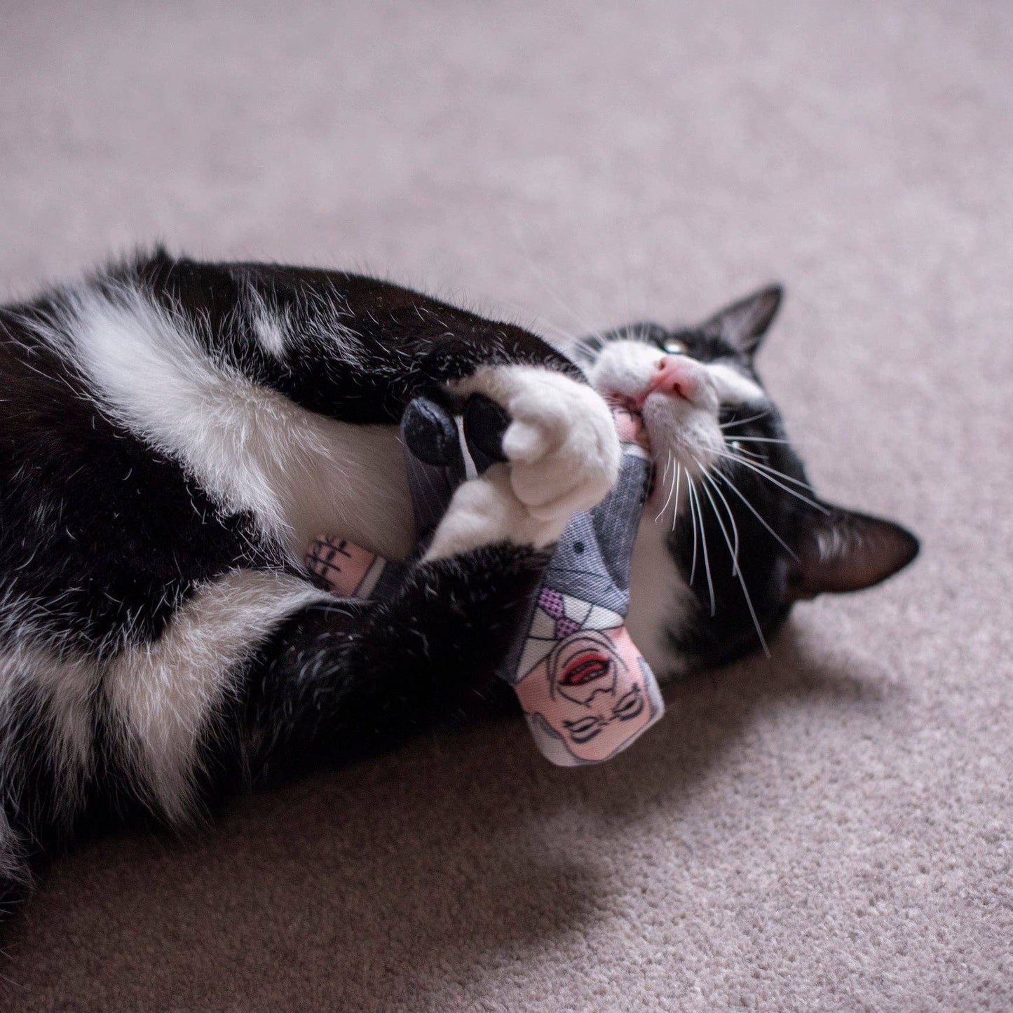 Pet Hates Toys - Nigel Farage cat toy