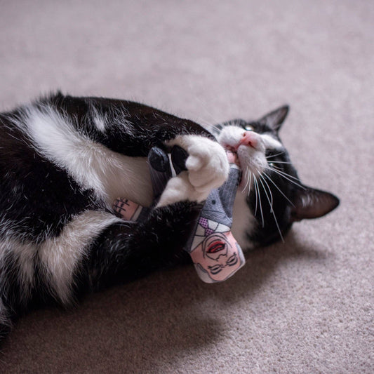 Pet Hates Toys - Nigel Farage cat toy
