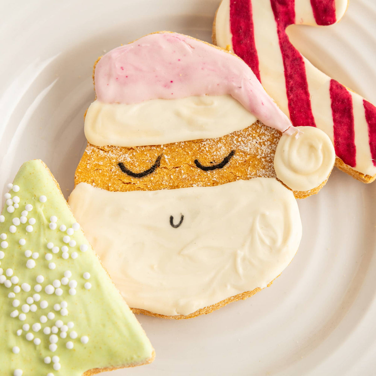 Fluff & Crumble - Christmas Iced Dog Biscuit Trio