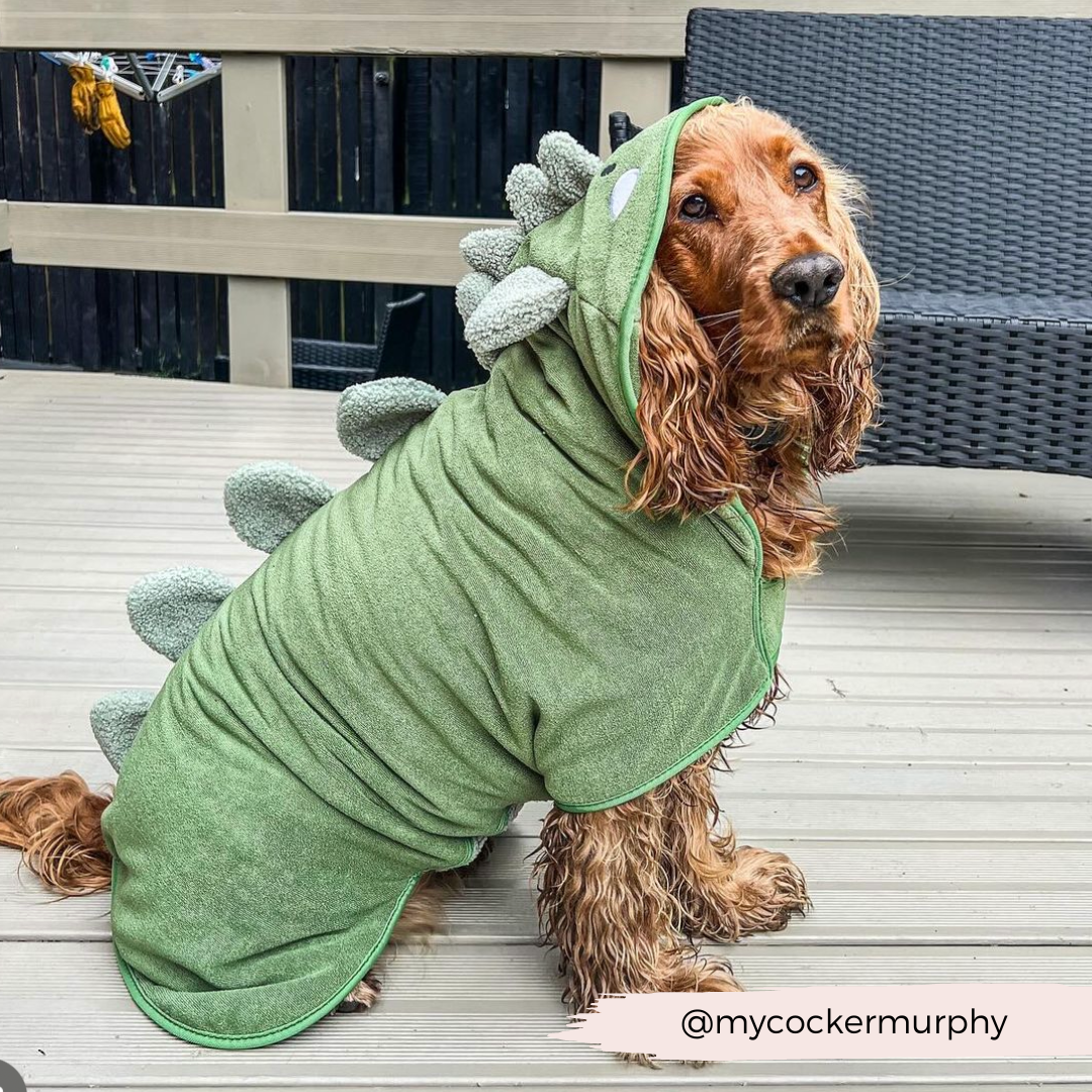 Cocopup London - Dinopup Drying Robe