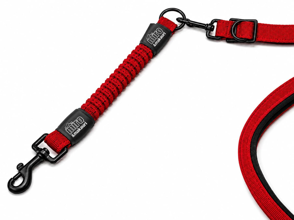 Miro & Makauri - Bungee Dog Lead - Miro & Makauri Anti Shock lead attachment 30cm