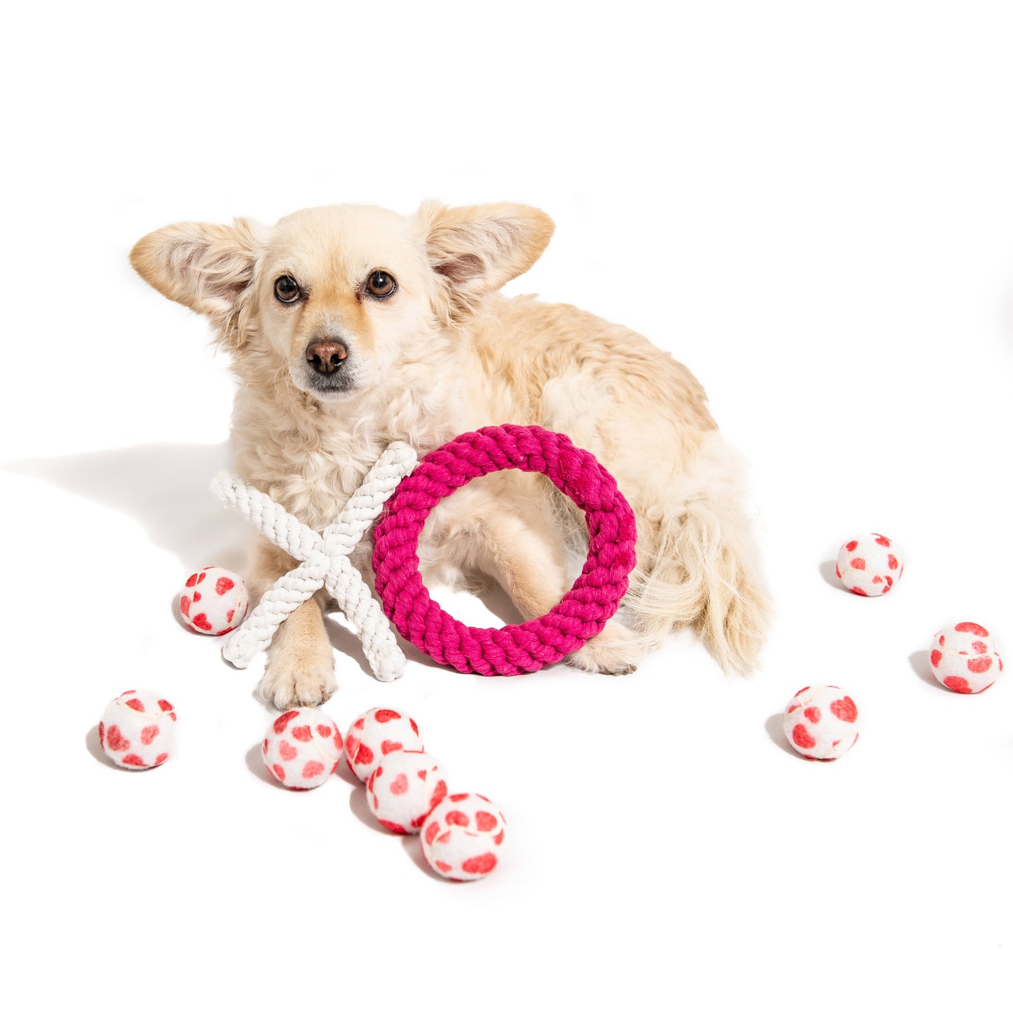 Midlee Designs - Midlee Valentine's Hearts Dog Tennis Balls