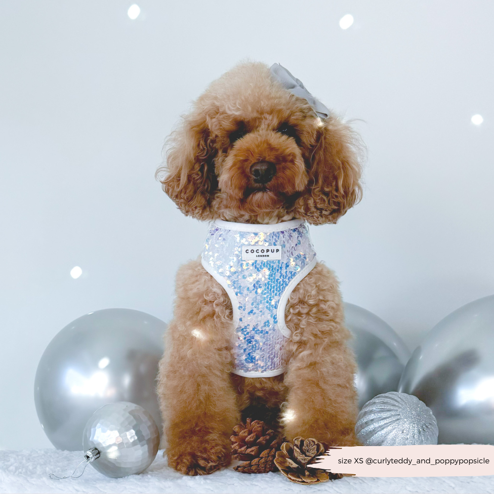 Cocopup London - LUXE Party Holographic Sequin HARNESS