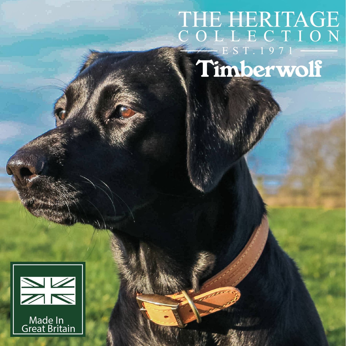 Ancol Pet Products Ltd - Timberwolf Leather Collar Mustard