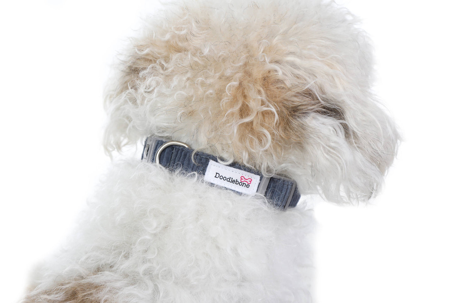 Doodlebone - Dinky Dog Collar