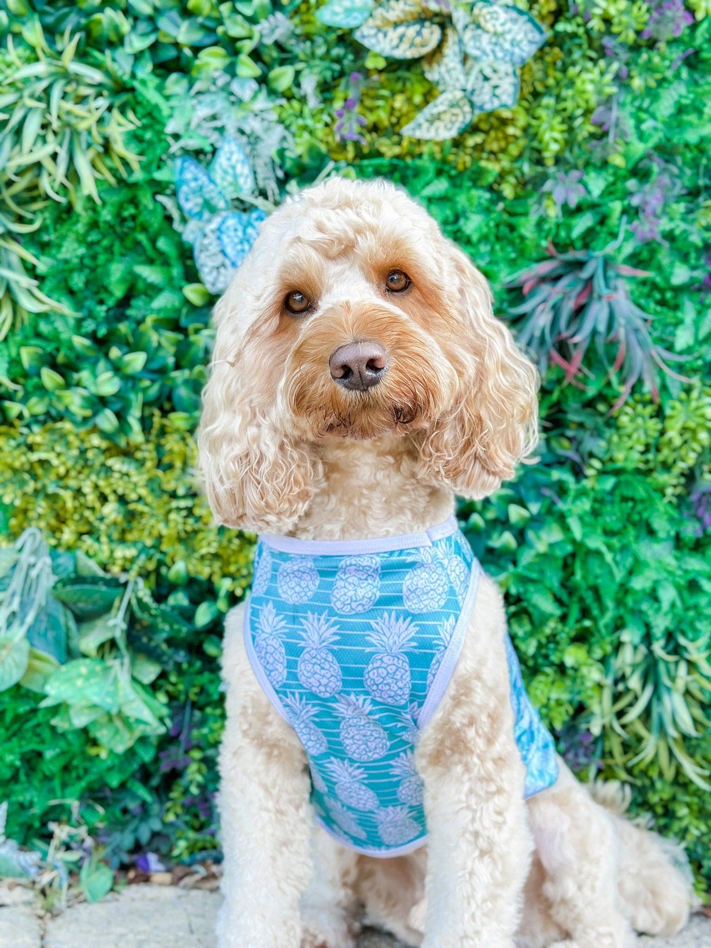 The Paw Print Boutique - The Pineapple Pawty Cooling Vest