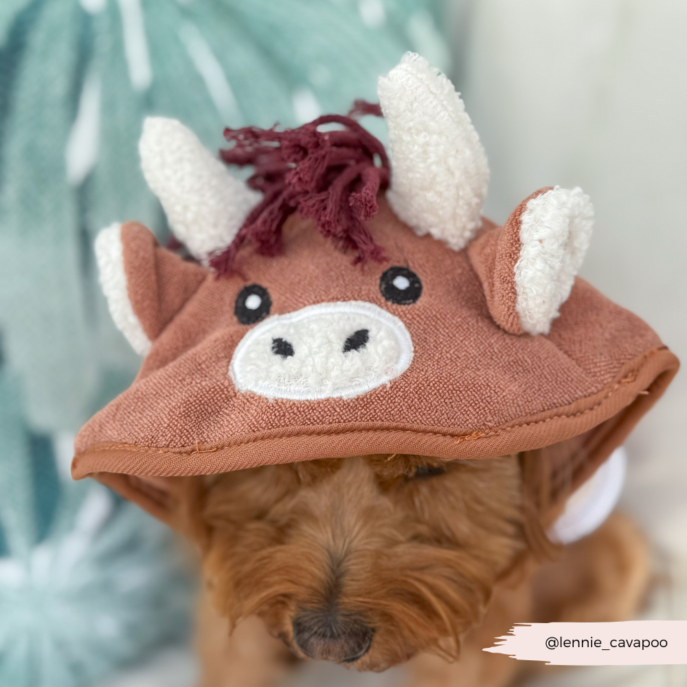 Cocopup London - Harold the Highland Cow Drying Robe